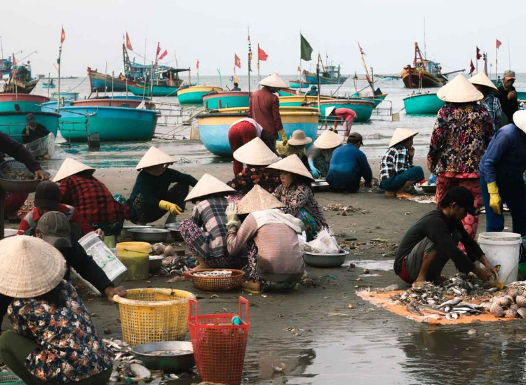 Hải sản tại làng chài Mũi Né khi du lịch Phan Thiết 30/4
